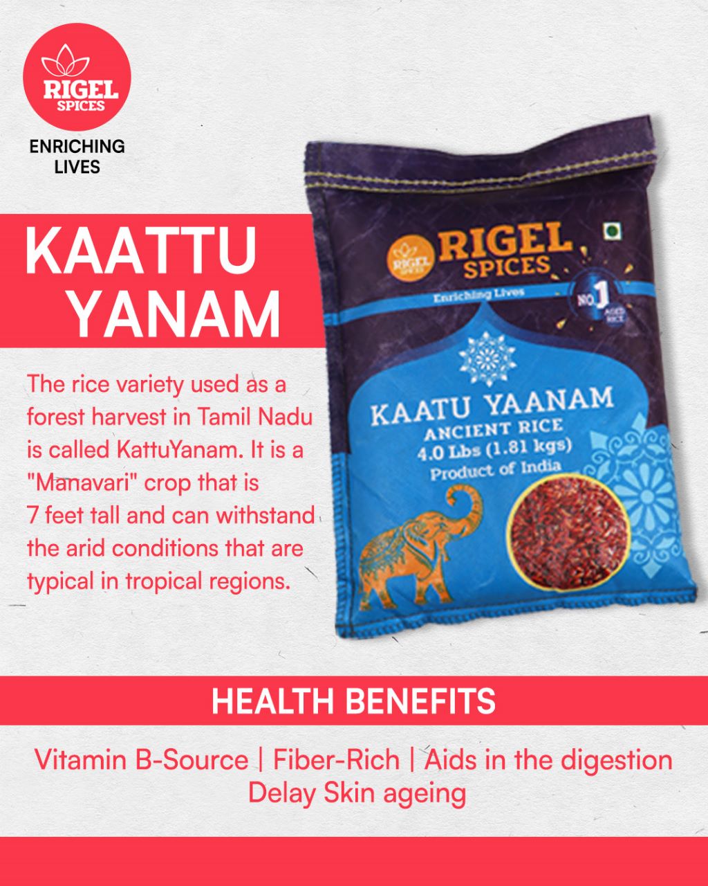 Kaatu Yaanam - 4 Lbs